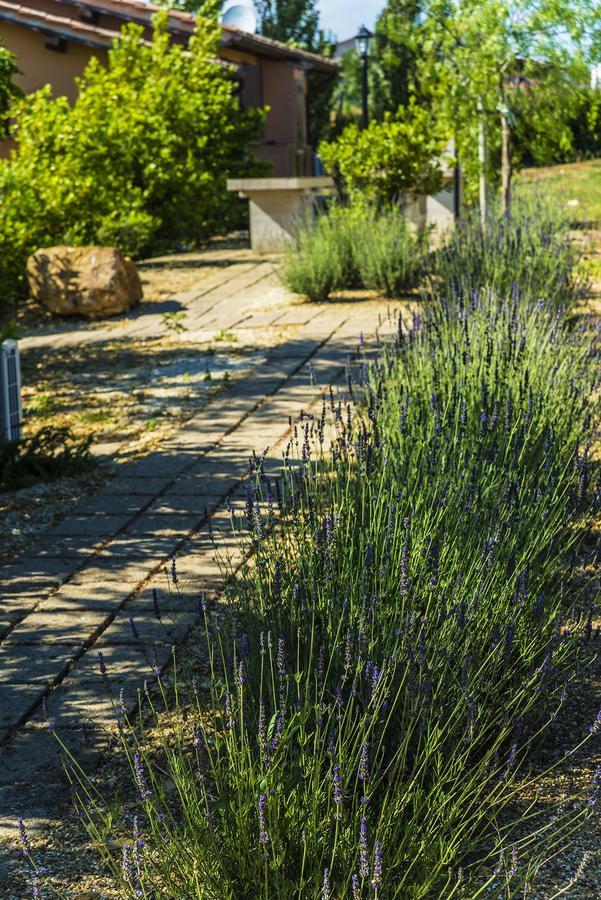 Agriturismo Poggio Di Maremma Pescia Romana Zewnętrze zdjęcie
